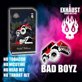 BAD BOYZ BLUEBERRY