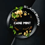 BLACKBURN CANE MINT 100G