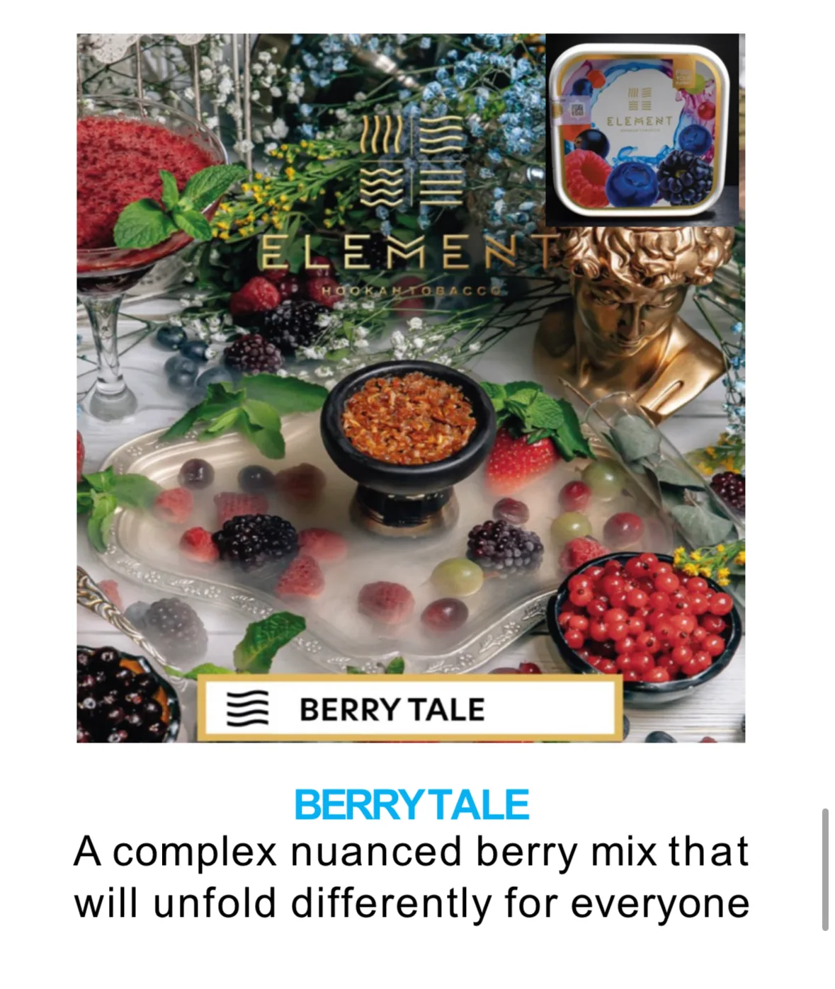 ELEMENT BERRYTALE 250G - Image 2