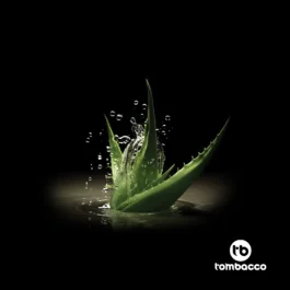 TOMBACCO ANTASENA 100G