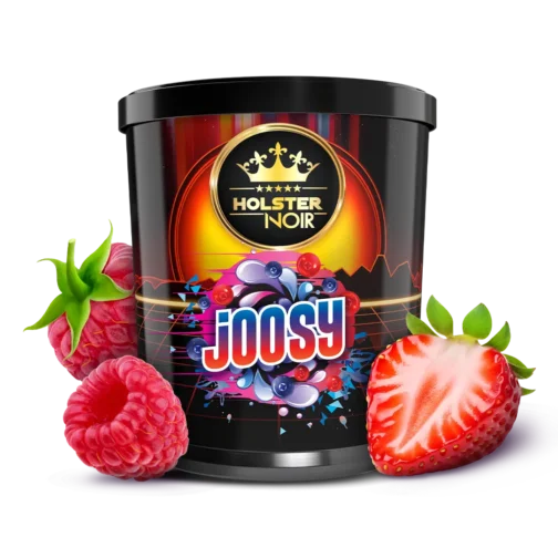 HOLSTER NOIR JOOSY 250G