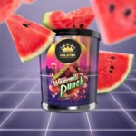 HOLSTER WATERMILL PUNCH 250G