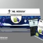 MR.HOOKAH BLUEBERRY KIWI FUSION 50G