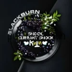 BLACKBURN SHOCK CURRENT SHOCK 200G