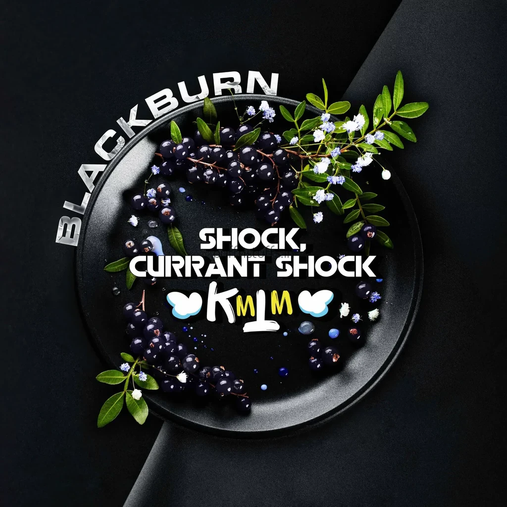 shockcurrantshock_1024x BLACKBURN SHOCK CURRENT SHOCK 200G - Image 1